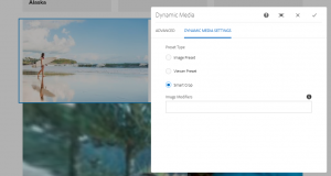 preset types in dynamic include smart crop, viewer preset and image preset